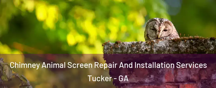 Chimney Animal Screen Repair And Installation Services Tucker - GA