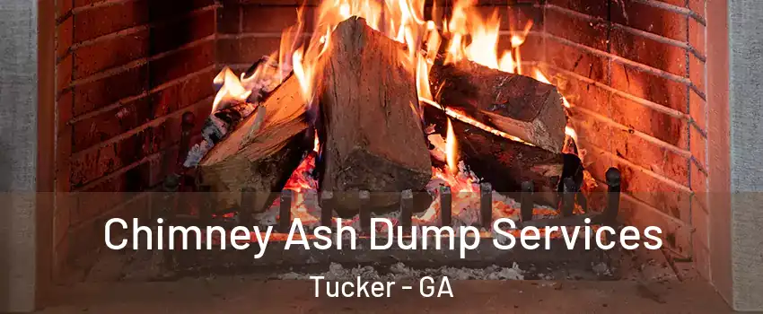  Chimney Ash Dump Services Tucker - GA
