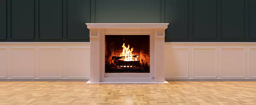 Napoleon Electric Fireplaces Inspection Service in Tucker, Georgia